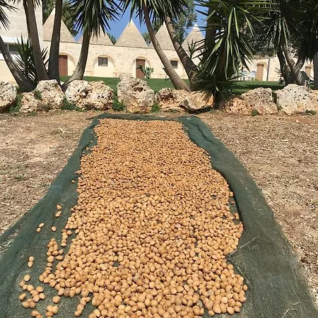 Agriturismo Le Specchie Alloggio per agriturismo *
